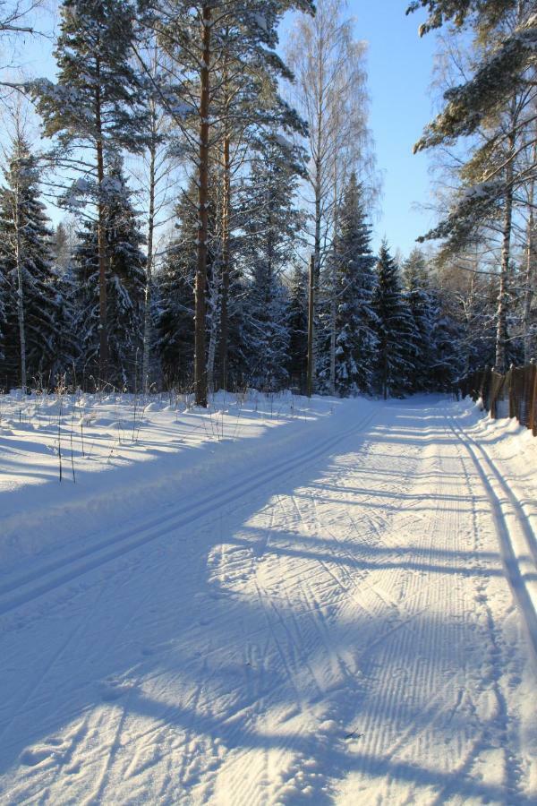 Pankkotupa 16-B Villa Punkaharju Exterior foto
